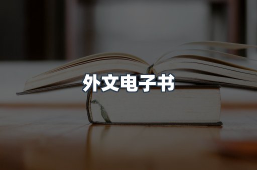 外文电子书